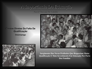 A Importância Da Educação Para O   Mercado De Trabalho Causas Diretas Da Falta De Qualificação Desemprego Surgimento Das Novas Profissões Que Requeriam Maios Qualificação E Mais Investimento Em Educação Por Parte Das Famílias 