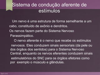 Sistema de condução aferente de
            estímulos
  Um nervo é uma estrutura de forma semelhante a um
cabo, constituído de axônio e dendritos.
Os nervos fazem parte do Sistema Nervoso
 Parassimpático.
   O nervo aferente é o nervo que recebe os estímulos
 nervosos. Eles conduzem sinais sensoriais (da pele ou
 dos órgãos dos sentidos) para o Sistema Nervoso
 Central, enquanto os nervos eferentes conduzem sinais
 estimulatórios do SNC para os órgãos efetores como
 por exemplo o músculo e glândulas.
 