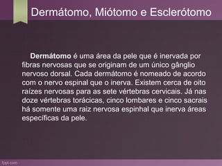 Dermátomo, Miótomo e Esclerótomo


   Dermátomo é uma área da pele que é inervada por
fibras nervosas que se originam de um único gânglio
nervoso dorsal. Cada dermátomo é nomeado de acordo
com o nervo espinal que o inerva. Existem cerca de oito
raízes nervosas para as sete vértebras cervicais. Já nas
doze vértebras torácicas, cinco lombares e cinco sacrais
há somente uma raiz nervosa espinhal que inerva áreas
específicas da pele.
 