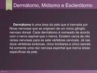Dermátomo, Miótomo e Esclerótomo


   Dermátomo é uma área da pele que é inervada por
fibras nervosas que se originam de u...