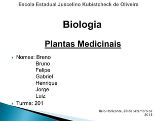  Nomes: Breno
Bruno
Felipe
Gabriel
Henrique
Jorge
Luiz
 Turma: 201
Belo Horizonte, 20 de setembro de
2013
Biologia
Plantas Medicinais
 