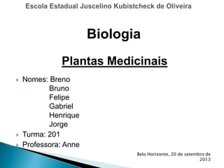  Nomes: Breno
Bruno
Felipe
Gabriel
Henrique
Jorge
 Turma: 201
 Professora: Anne
Belo Horizonte, 20 de setembro de
2013
Biologia
Plantas Medicinais
 