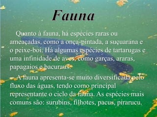 Quanto à fauna, há espécies raras ou
ameaçadas, como a onça-pintada, a suçuarana e
o peixe-boi. Há algumas espécies de tartarugas e
uma infinidade de aves, como garças, araras,
papagaios e bacuraus.
A fauna apresenta-se muito diversificada pelo
fluxo das águas, tendo como principal
representante o ciclo da fauna. As espécies mais
comuns são: surubins, filhotes, pacus, pirarucu.

 