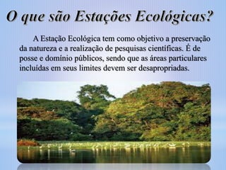 A Estação Ecológica tem como objetivo a preservação
da natureza e a realização de pesquisas científicas. É de
posse e domínio públicos, sendo que as áreas particulares
incluídas em seus limites devem ser desapropriadas.

 