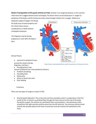 Development of the Heart | DOCX