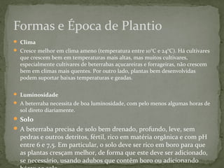 Formas e Época de Plantio 
 Clima 
 Cresce melhor em clima ameno (temperatura entre 10°C e 24°C). Há cultivares 
que crescem bem em temperaturas mais altas, mas muitos cultivares, 
especialmente cultivares de beterrabas açucareiras e forrageiras, não crescem 
bem em climas mais quentes. Por outro lado, plantas bem desenvolvidas 
podem suportar baixas temperaturas e geadas. 
 Luminosidade 
 A beterraba necessita de boa luminosidade, com pelo menos algumas horas de 
sol direto diariamente. 
Solo 
A beterraba precisa de solo bem drenado, profundo, leve, sem 
pedras e outros detritos, fértil, rico em matéria orgânica e com pH 
entre 6 e 7,5. Em particular, o solo deve ser rico em boro para que 
as plantas cresçam melhor, de forma que este deve ser adicionado, 
se necessário, usando adubos que contêm boro ou adicionando 
bórax ao solo. 
 