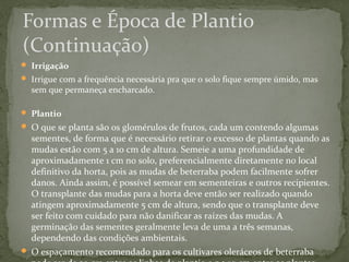 Formas e Época de Plantio 
(Continuação) 
 Irrigação 
 Irrigue com a frequência necessária pra que o solo fique sempre úmido, mas 
sem que permaneça encharcado. 
 Plantio 
 O que se planta são os glomérulos de frutos, cada um contendo algumas 
sementes, de forma que é necessário retirar o excesso de plantas quando as 
mudas estão com 5 a 10 cm de altura. Semeie a uma profundidade de 
aproximadamente 1 cm no solo, preferencialmente diretamente no local 
definitivo da horta, pois as mudas de beterraba podem facilmente sofrer 
danos. Ainda assim, é possível semear em sementeiras e outros recipientes. 
O transplante das mudas para a horta deve então ser realizado quando 
atingem aproximadamente 5 cm de altura, sendo que o transplante deve 
ser feito com cuidado para não danificar as raízes das mudas. A 
germinação das sementes geralmente leva de uma a três semanas, 
dependendo das condições ambientais. 
 O espaçamento recomendado para os cultivares oleráceos de beterraba 
pode ser de 30 cm entre as linhas de plantio e 5 a 10 cm entre as plantas. 
 