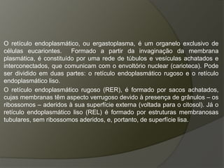 O retículo endoplasmático, ou ergastoplasma, é um organelo exclusivo de
células eucariontes. Formado a partir da invaginação da membrana
plasmática, é constituído por uma rede de túbulos e vesículas achatados e
interconectados, que comunicam com o envoltório nuclear (carioteca). Pode
ser dividido em duas partes: o retículo endoplasmático rugoso e o retículo
endoplasmático liso.
O retículo endoplasmático rugoso (RER), é formado por sacos achatados,
cujas membranas têm aspecto verrugoso devido à presença de grânulos – os
ribossomos – aderidos à sua superfície externa (voltada para o citosol). Já o
retículo endoplasmático liso (REL) é formado por estruturas membranosas
tubulares, sem ribossomos aderidos, e, portanto, de superfície lisa.
 