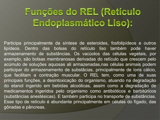 Participa principalmente da síntese de esteroides, fosfolipídeos e outros
lipídeos. Dentro das bolsas do retículo liso também pode haver
armazenamento de substâncias. Os vacúolos das células vegetais, por
exemplo, são bolsas membranosas derivadas do retículo que crescem pelo
acúmulo de soluções aquosas ali armazenadas,nas células animais podem
participar do armazenamento de substâcias, principalmente de íons cálcio,
que facilitam a contração muscular. O REL tem, como uma de suas
principais funções, a desintoxicação do organismo, atuando na degradação
do etanol ingerido em bebidas alcoólicas, assim como a degradação de
medicamentos ingeridos pelo organismo como antibióticos e barbitúricos
(substâncias anestésicas). E também participa no transporte de substâncias.
Esse tipo de retículo é abundante principalmente em células do fígado, das
gônadas e pâncreas.
 