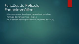 Funções do Retículo
Endoplasmático :
- Atua no processo de síntese e transporte de proteínas;
- Participa do metabolismo de lipídios;
- Atua também no transporte intracelular (dentro da célula).
 