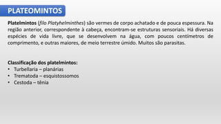 PLATEOMINTOS
Platelmintos (filo Platyhelminthes) são vermes de corpo achatado e de pouca espessura. Na
região anterior, correspondente à cabeça, encontram-se estruturas sensoriais. Há diversas
espécies de vida livre, que se desenvolvem na água, com poucos centímetros de
comprimento, e outras maiores, de meio terrestre úmido. Muitos são parasitas.
Classificação dos platelmintos:
• Turbellaria – planárias
• Trematoda – esquistossomos
• Cestoda – tênia
 