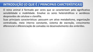 INTRODUÇÃO (O QUE É / PRINCIPAIS CARCTERÍSTICAS)
O reino animal é formado por seres que se caracterizam pela significativa
sensibilidade e mobilidade. Envolve os seres heterotróficos e aeróbicos
desprovidos de celulose e clorofila.
Suas principais características: possuem um ativo metabolismo, organização
centralizada, meio interno constante, sistema de excreção, crescimento
diferencial e diferenciação de camadas no desenvolvimento dos embriões.
 