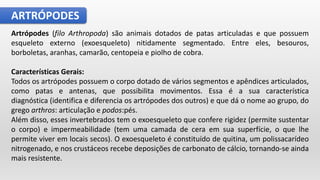 ARTRÓPODES
Artrópodes (filo Arthropoda) são animais dotados de patas articuladas e que possuem
esqueleto externo (exoesqueleto) nitidamente segmentado. Entre eles, besouros,
borboletas, aranhas, camarão, centopeia e piolho de cobra.
Características Gerais:
Todos os artrópodes possuem o corpo dotado de vários segmentos e apêndices articulados,
como patas e antenas, que possibilita movimentos. Essa é a sua característica
diagnóstica (identifica e diferencia os artrópodes dos outros) e que dá o nome ao grupo, do
grego arthros: articulação e podos:pés.
Além disso, esses invertebrados tem o exoesqueleto que confere rigidez (permite sustentar
o corpo) e impermeabilidade (tem uma camada de cera em sua superfície, o que lhe
permite viver em locais secos). O exoesqueleto é constituído de quitina, um polissacarídeo
nitrogenado​, e nos crustáceos recebe deposições de carbonato de cálcio, tornando-se ainda
mais resistente.
 