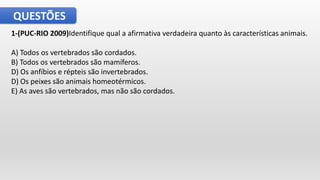 QUESTÕES
1-(PUC-RIO 2009)Identifique qual a afirmativa verdadeira quanto às características animais.
A) Todos os vertebrados são cordados.
B) Todos os vertebrados são mamíferos.
D) Os anfíbios e répteis são invertebrados.
D) Os peixes são animais homeotérmicos.
E) As aves são vertebrados, mas não são cordados.
 