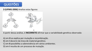 QUESTÕES
2-(UFMG-2006) Analise estas figuras:
A partir dessa análise, é INCORRETO afirmar que a variabilidade genética observada:
A) em II se explica por mutação e recombinação.
B) em I decorre da troca de material genético.
C) em II possibilita a sobrevivência em vários ambientes.
D) em I resulta de um processo de mutação.
 