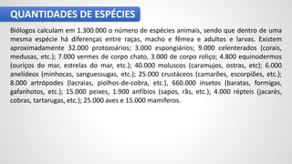 QUANTIDADES DE ESPÉCIES
Biólogos calculam em 1.300.000 o número de espécies animais, sendo que dentro de uma
mesma espécie há diferenças entre raças, macho e fêmea e adultos e larvas. Existem
aproximadamente 32.000 protozoários; 3.000 espongiários; 9.000 celenterados (corais,
medusas, etc.); 7.000 vermes de corpo chato, 3.000 de corpo roliço; 4.800 equinodermos
(ouriços do mar, estrelas do mar, etc.); 40.000 moluscos (caramujos, ostras, etc); 6.000
anelídeos (minhocas, sanguessugas, etc.); 25.000 crustáceos (camarões, escorpiões, etc.);
8.000 artrópodes (lacraias, piolhos-de-cobra, etc.), 660.000 insetos (baratas, formigas,
gafanhotos, etc.); 15.000 peixes, 1.900 anfíbios (sapos, rãs, etc.); 4.000 répteis (jacarés,
cobras, tartarugas, etc.); 25.000 aves e 15.000 mamíferos.
 