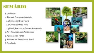 SUMÁRIO
1. Definição
2.Tipos de Crimes Ambientais
2.1 Crimes contra a Fauna
2.2 Crimes contra a Flora
2.3 Poluição e outros Crimes Ambientais
3. As 7 Principais Leis Ambientais
4. Aplicação de Penas
5. Animais em Extinção no Brasil
6.Conclusão
 