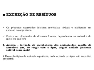 ■ EXCREÇÃO DE RESÍDUOS
• Os produtos excretados incluem moléculas tóxicas e moléculas em
excesso no organismo
• Podem ser eliminados de diversas formas, dependendo do animal e do
meio em que vive
1. Amônia – (oriunda do metabolismo dos aminoácidos) resulta do
amoníaco que, ao reagir com a água, origina amônia (bastante
solúvel nesse meio)
# Excreção típica de animais aquáticos, onde a perda de água não constitui
problema
 