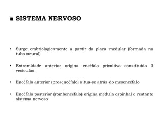 ■ SISTEMA NERVOSO
• Surge embriologicamente a partir da placa medular (formada no
tubo neural)
• Extremidade anterior origina encéfalo primitivo constituído 3
vesículas
• Encéfalo anterior (prosencéfalo) situa-se atrás do mesencéfalo
• Encéfalo posterior (rombencéfalo) origina medula espinhal e restante
sistema nervoso
 
