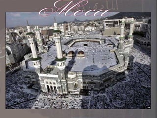 Meca 