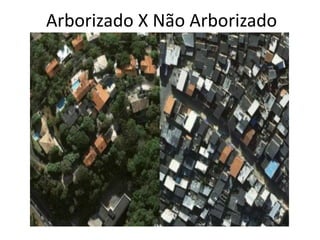 Arborizado X Não Arborizado
 