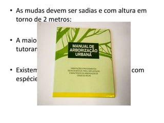 • As mudas devem ser sadias e com altura em
torno de 2 metros;
• A maioria das plantas necessita de um
tutoramento para ficar ereta;
• Existem guias para arborização urbana com
espécies recomendadas.
 