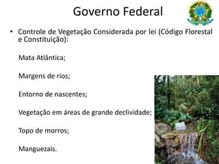 Governo Federal
• Controle de Vegetação Considerada por lei (Código Florestal
e Constituição):
Mata Atlântica;
Margens de rios;
Entorno de nascentes;
Vegetação em áreas de grande declividade;
Topo de morros;
Manguezais.
 