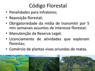 Código Florestal
• Penalidades para infratores;
• Reposição florestal;
• Obrigatoriedade da mídia de transmitir por 5
min semanais assuntos de interesse florestal;
• Manutenção da Reserva Legal;
• Licenciamento de atividades que exploram
florestas;
• Comércio de plantas vivas oriundas de matas.
 