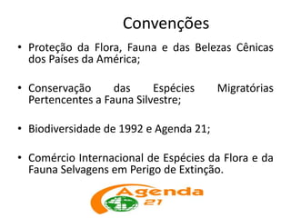 Convenções
• Proteção da Flora, Fauna e das Belezas Cênicas
dos Países da América;
• Conservação das Espécies Migratórias
Pertencentes a Fauna Silvestre;
• Biodiversidade de 1992 e Agenda 21;
• Comércio Internacional de Espécies da Flora e da
Fauna Selvagens em Perigo de Extinção.
 