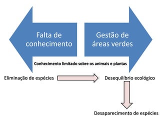 Falta de
conhecimento
Gestão de
áreas verdes
Conhecimento limitado sobre os animais e plantas
Eliminação de espécies Desequilíbrio ecológico
Desaparecimento de espécies
 