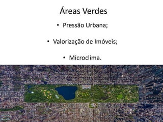 Áreas Verdes
• Pressão Urbana;
• Valorização de Imóveis;
• Microclima.
 