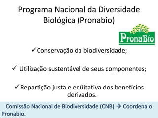 Programa Nacional da Diversidade
Biológica (Pronabio)
Conservação da biodiversidade;
 Utilização sustentável de seus componentes;
Repartição justa e eqüitativa dos benefícios
derivados.
Comissão Nacional de Biodiversidade (CNB)  Coordena o
Pronabio.
 