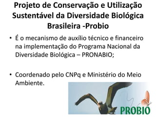 Projeto de Conservação e Utilização
Sustentável da Diversidade Biológica
Brasileira -Probio
• É o mecanismo de auxílio técnico e financeiro
na implementação do Programa Nacional da
Diversidade Biológica – PRONABIO;
• Coordenado pelo CNPq e Ministério do Meio
Ambiente.
 
