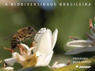 FAPESP-BIOTA
• Conhecer, mapear e analisar a biodiversidade
do Estado de São Paulo, incluindo a fauna, a
flora e os microrganismos;
• Avaliar as possibilidades de exploração
sustentável de plantas ou de animais com
potencial econômico;
 
