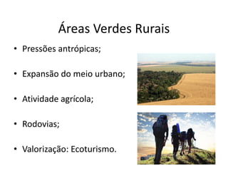 Áreas Verdes Rurais
• Pressões antrópicas;
• Expansão do meio urbano;
• Atividade agrícola;
• Rodovias;
• Valorização: Ecoturismo.
 
