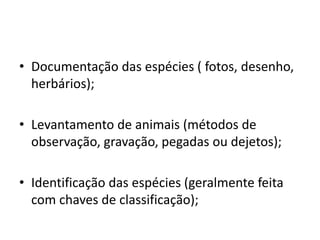 • Documentação das espécies ( fotos, desenho,
herbários);
• Levantamento de animais (métodos de
observação, gravação, pegadas ou dejetos);
• Identificação das espécies (geralmente feita
com chaves de classificação);
 