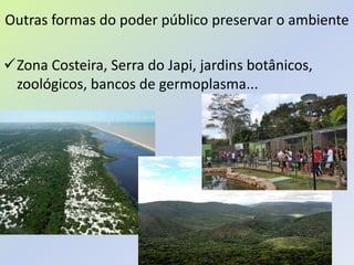 Outras formas do poder público preservar o ambiente
Zona Costeira, Serra do Japi, jardins botânicos,
zoológicos, bancos de germoplasma...
 