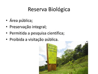 Reserva Biológica
• Área pública;
• Preservação integral;
• Permitida a pesquisa científica;
• Proibida a visitação pública.
 