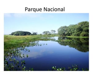 Parque Nacional
• Área pública;
• Preservação de ecossistema de grande
relevância e de beleza cênica;
• Permitida a visitação pública e pesquisa.
 