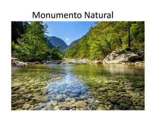 Monumento Natural
• Área pública ou particular;
• Preservar sítios naturais raros singulares e
de beleza cênica;
• Permitida a visitação pública.
 