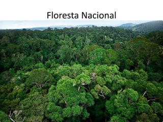 Floresta Nacional
• Área pública com cobertura florestal de espécies
nativas;
• Sendo o objetivo uso sustentável dos recursos
florestais;
• Pesquisa científica para a exploração sustentável de
florestas nativas;
• Nessa área é admitida a permanência de populações
tradicionais e visitação pública;
• Gestão com um conselho consultivo.
 