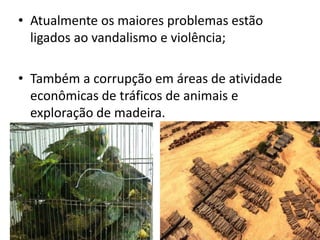 • Atualmente os maiores problemas estão
ligados ao vandalismo e violência;
• Também a corrupção em áreas de atividade
econômicas de tráficos de animais e
exploração de madeira.
 