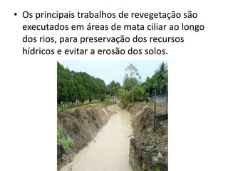 • Os principais trabalhos de revegetação são
executados em áreas de mata ciliar ao longo
dos rios, para preservação dos recursos
hídricos e evitar a erosão dos solos.
 