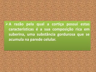 A razão pela qual a cortiça possui estas
características é a sua composição rica em
suberina, uma substância gordurosa que se
acumula na parede celular.
 