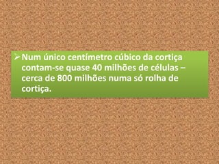 Num único centímetro cúbico da cortiça
contam-se quase 40 milhões de células –
cerca de 800 milhões numa só rolha de
cortiça.
 