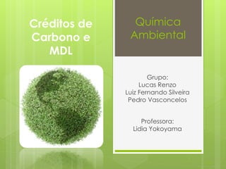 Créditos de 
Carbono e 
MDL 
Química 
Ambiental 
Grupo: 
Lucas Renzo 
Luiz Fernando Silveira 
Pedro Vasconcelos 
Professora: 
Lidia Yokoyama 
LTS .:. 
 