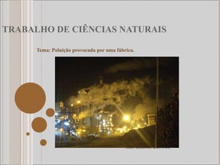 TRABALHO DE CIÊNCIAS NATURAIS Tema: Poluição provocada por uma fábrica. Ano lectivo: 2007/08 