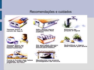 Recomendações e cuidados  