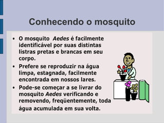 Conhecendo o mosquito 