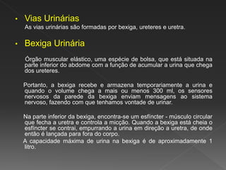 • Vias Urinárias
As vias urinárias são formadas por bexiga, ureteres e uretra.
• Bexiga Urinária
Órgão muscular elástico, uma espécie de bolsa, que está situada na
parte inferior do abdome com a função de acumular a urina que chega
dos ureteres.
Portanto, a bexiga recebe e armazena temporariamente a urina e
quando o volume chega a mais ou menos 300 ml, os sensores
nervosos da parede da bexiga enviam mensagens ao sistema
nervoso, fazendo com que tenhamos vontade de urinar.
Na parte inferior da bexiga, encontra-se um esfíncter - músculo circular
que fecha a uretra e controla a micção. Quando a bexiga está cheia o
esfíncter se contrai, empurrando a urina em direção a uretra, de onde
então é lançada para fora do corpo.
A capacidade máxima de urina na bexiga é de aproximadamente 1
litro.
 
